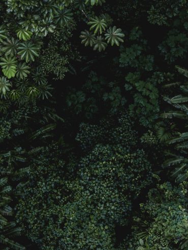 climate change business mindset