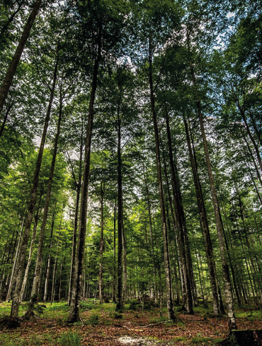 sustainability business benefits