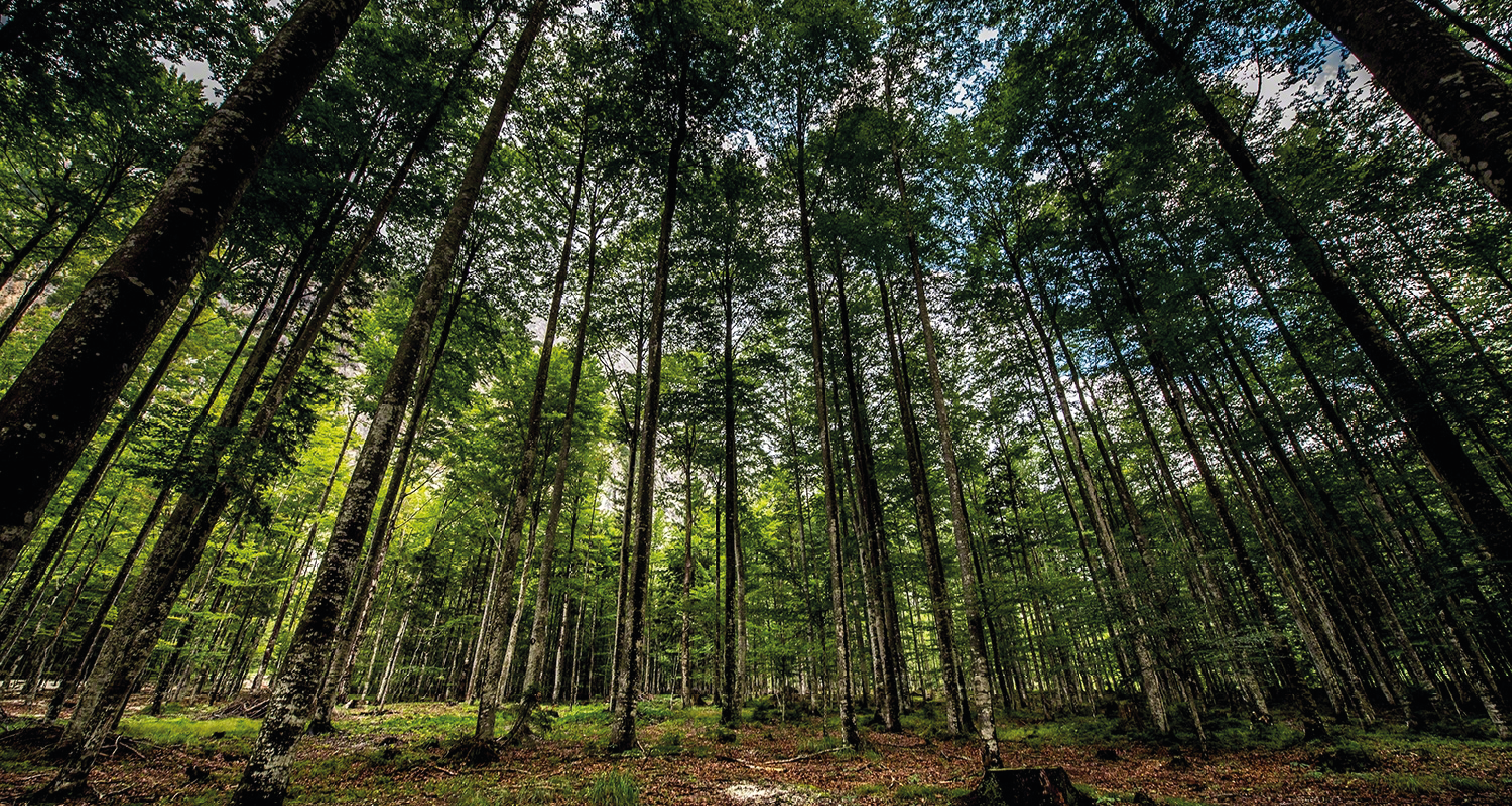 sustainability business benefits
